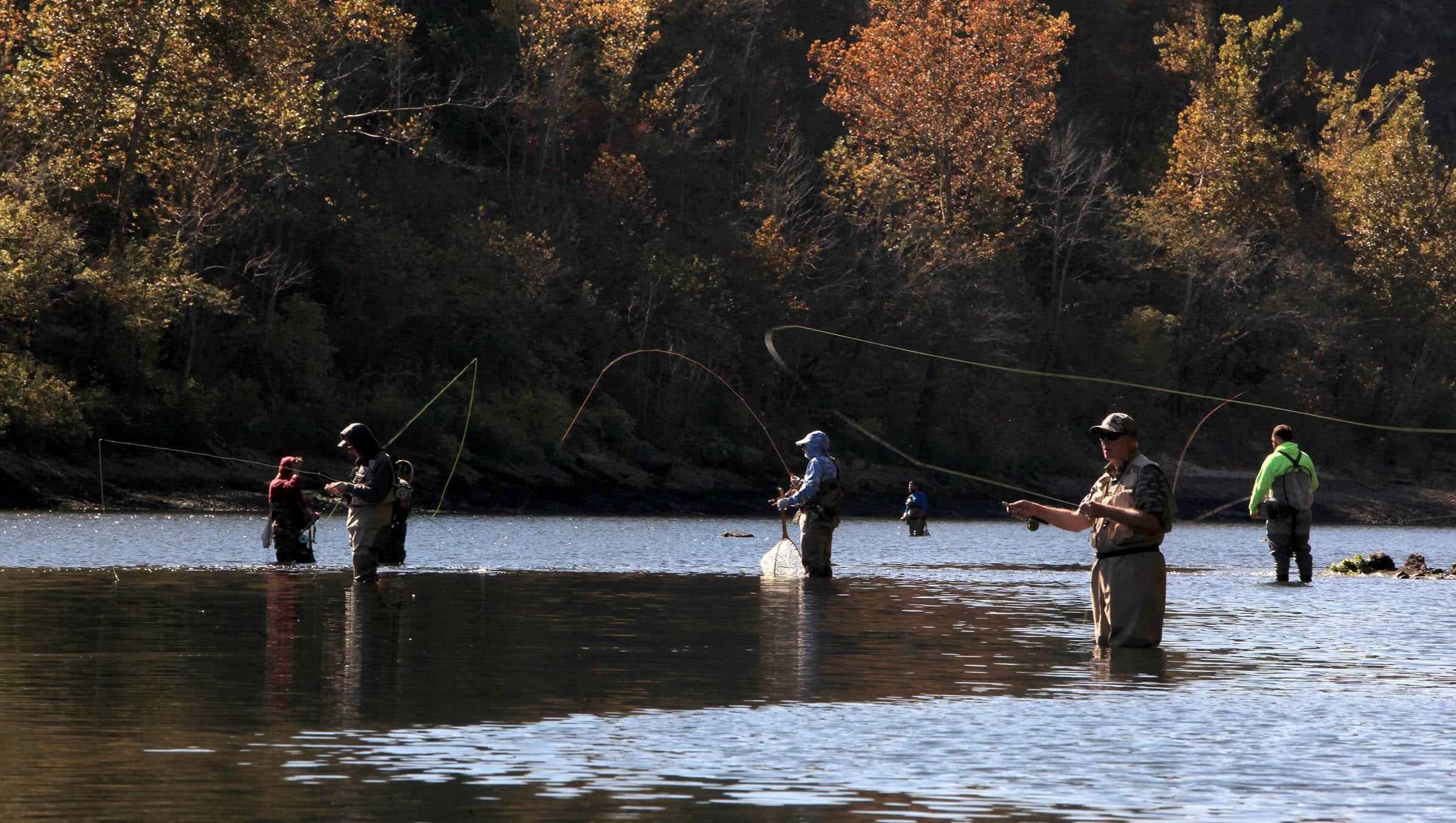Fly fishermen wading in river with autumn foliage